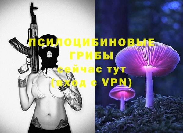 прущий лед Аркадак