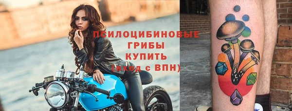 ПСИЛОЦИБИНОВЫЕ ГРИБЫ Наволоки